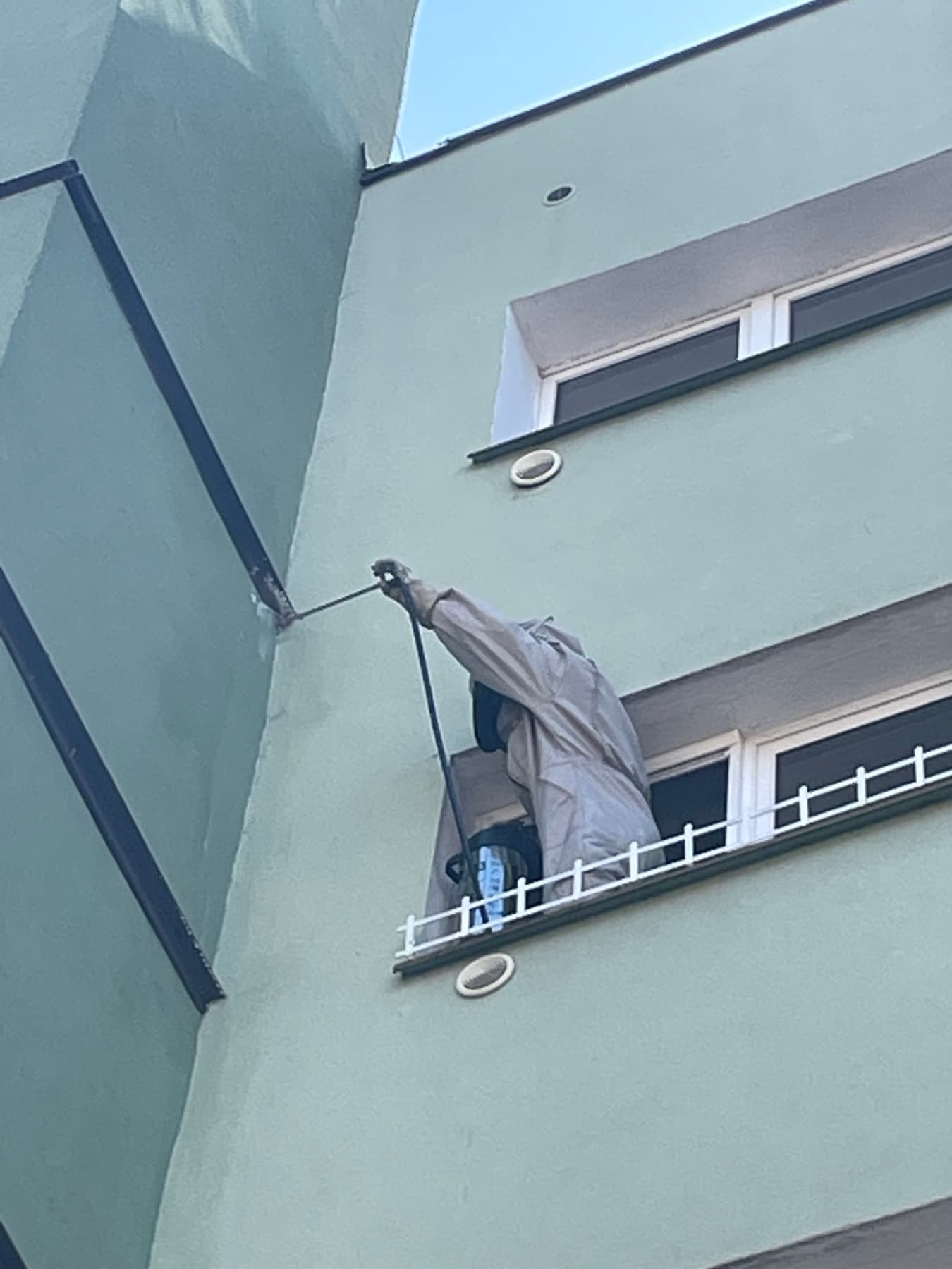 Usuwanie gniazda szerszeni z elewacji budynku przy ulicy Listopadowej 10